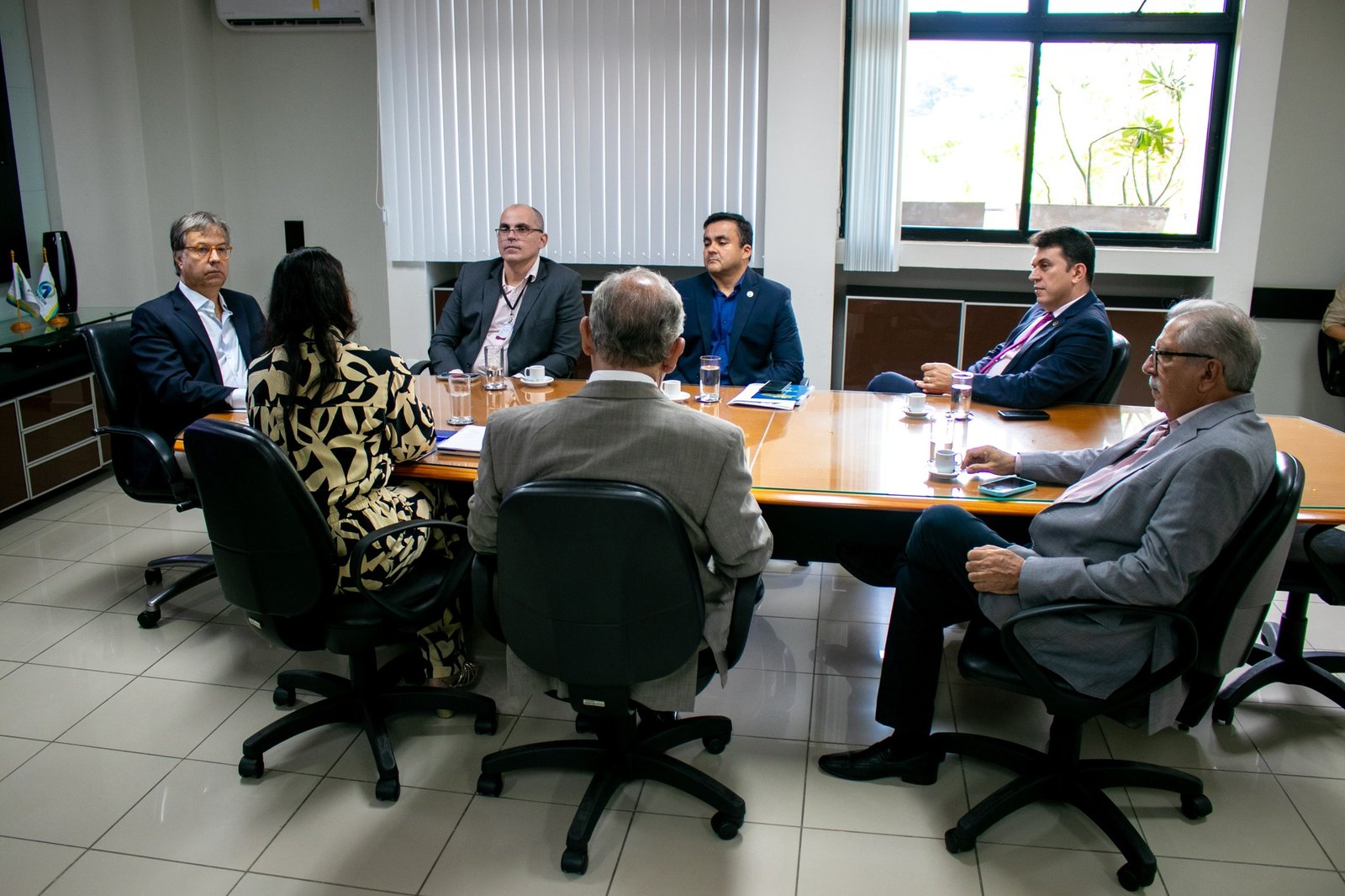 Presidente do TCE-PB recebe diretoria da ANTC para diálogo ...
