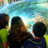 Aquário Paraíba fortalece turismo educativo com experiências de conscientização ambiental