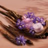 Com ingrediente raro da perfumaria internacional, O Boticário redefine o amadeirado feminino no lançamento de Liz D’Essence