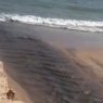 MPF aponta principais hipóteses para poluição de rios e praias da Grande João Pessoa