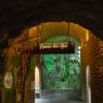 Da música de Luiz Gonzaga à natureza: aves símbolos do sertão ganham espaço no Aquário Paraíba
