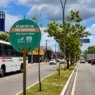 Vias Verdes do Recife mostram João Pessoa na contramão ambiental